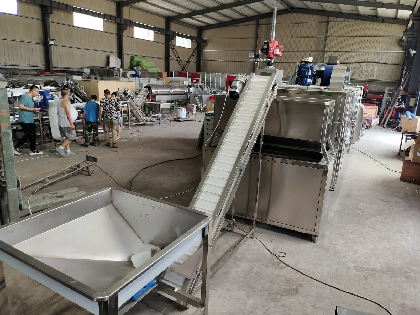Color Sorting Equipment